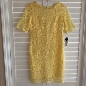 Sandra Darren Washable Lace Sheath Dress - size 6